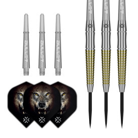 Bullet Steel Darts Fang Gold 90% Tungsten Steeltip Darts Steeldart 24 g