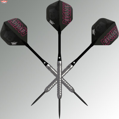 BULLS NL Steel Darts Ricky Evans E2 Edition 2 80% Tungsten The Rapid Steeltip Darts Steeldart 23 g / leicht bespielt