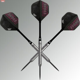 BULLS NL Steel Darts Ricky Evans E2 Edition 2 80% Tungsten The Rapid Steeltip Darts Steeldart 23 g / leicht bespielt