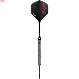 "Leicht bespielt" - BULLS NL Steel Darts Ricky Evans E2 Edition 2 80% Tungsten The Rapid Steeltip Darts Steeldart 23 g