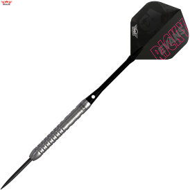 "Leicht bespielt" - BULLS NL Steel Darts Ricky Evans E2 Edition 2 80% Tungsten The Rapid Steeltip Darts Steeldart 23 g