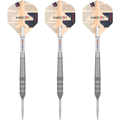 "Verpackung beschädigt" - Target Steel Darts SWISS Point Barney 25 Raymond van Barneveld RVB25 95% Tungsten Steeltip Dart Steeldart 21 g