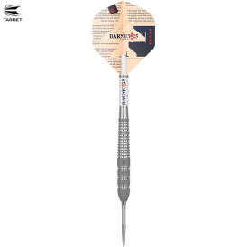 "Verpackung beschädigt" - Target Steel Darts SWISS Point Barney 25 Raymond van Barneveld RVB25 95% Tungsten Steeltip Dart Steeldart 21 g