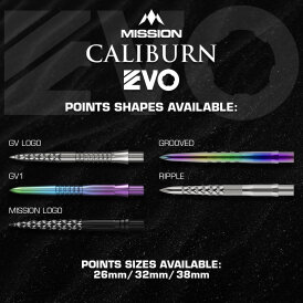 Mission Caliburn EVO Point Dart Wechsel- Spitzen Schraubspitzen Silber GV Logo 32 mm