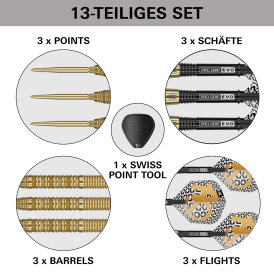 Target Steel Darts SWISS Point Bolide ENVY 01 90% Tungsten Steeltip Darts Steeldart