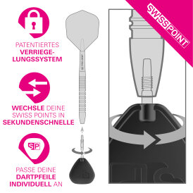 Target Steel Tip SWISS Point Dart Wechsel- Spitzen Schraubspitzen Silber TRB Point 42 mm
