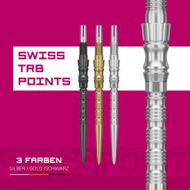 Target Steel Tip SWISS Point Dart Wechsel- Spitzen Schraubspitzen Silber TRB Point 42 mm
