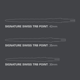 Target Steel Tip SWISS Point Dart Wechsel- Spitzen Schraubspitzen Silber TRB Point 42 mm