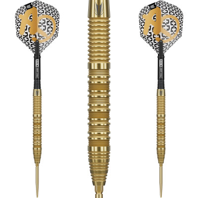 Target Steel Darts SWISS Point Bolide ENVY 01 90% Tungsten Steeltip Darts Steeldart 23 g