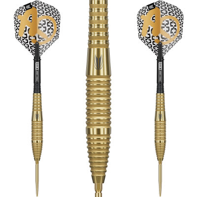 Target Steel Darts SWISS Point Bolide ENVY 05 90% Tungsten Steeltip Darts Steeldart 22 g