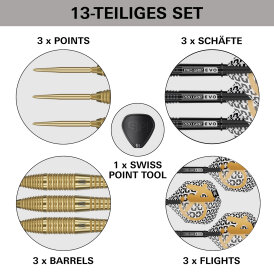 Target Steel Darts SWISS Point Bolide ENVY 05 90% Tungsten Steeltip Darts Steeldart 22 g