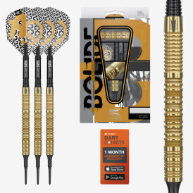 Target Soft Darts Bolide ENVY 10 90% Tungsten Softtip Darts Softdart 21 g