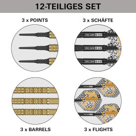 Target Soft Darts Bolide ENVY 10 90% Tungsten Softtip Darts Softdart 21 g