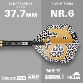 Target Soft Darts Bolide ENVY 10 90% Tungsten Softtip Darts Softdart 21 g