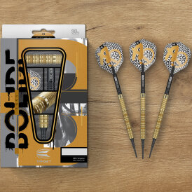 Target Soft Darts Bolide ENVY 10 90% Tungsten Softtip Darts Softdart 21 g