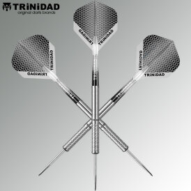 Trinidad Darts Steel Darts José Augusto Oliveira de Sousa Type 2 Steeltip Darts Steeldart 18 g / Verpackung beschädigt