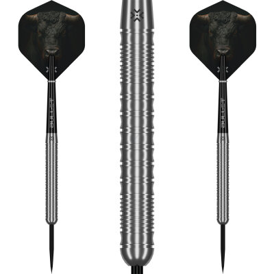 Bullet Steel Darts Fury 90% Tungsten Steeltip Darts Steeldart