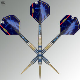 "Verpackung beschädigt" - Target Steel Darts SWISS Point Josh Rock G1 90% Tungsten Steeltip Dart Steeldart 24 g