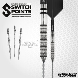 Red Dragon Steel Darts Switch Point Gian van Veen The Giant Tour Edition 90% Tungsten Steeltip Dart Steeldart 21 g