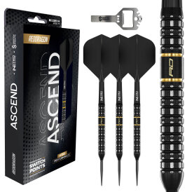 Red Dragon Steel Darts Switch Point Ascend Parallel Barrel 90% Tungsten Steeltip Dart Steeldart