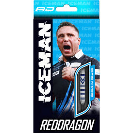 Red Dragon Steel Darts Gerwyn Price SE Brass Steeltip Dart Steeldart 21 g