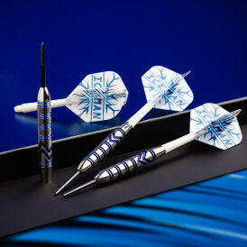 Red Dragon Steel Darts Gerwyn Price SE Brass Steeltip Dart Steeldart 21 g