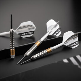 Red Dragon Steel Darts Gian van Veen The Giant SE Brass Steeltip Dart Steeldart 21 g