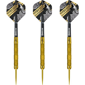 *moderat bespielt* - Red Dragon Steel Darts Peter Wright...