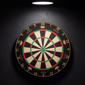 *Verpackung beschädigt* - BULLS NL Advantage 8 Professional Dartboard Bristle Dart Board Dartboard Dartscheibe
