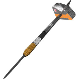 BULLS NL CP Steel Darts Dirk van Duijvenbode Changeable Point 95% Tungsten Steeltip Darts Steeldart 24 g