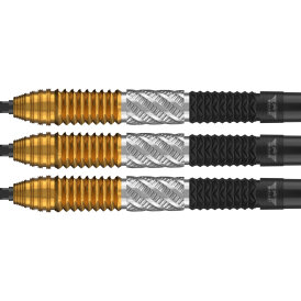 BULLS NL CP Steel Darts Dirk van Duijvenbode Changeable Point 95% Tungsten Steeltip Darts Steeldart 24 g