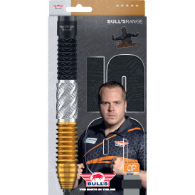 BULLS NL CP Steel Darts Dirk van Duijvenbode Changeable Point 95% Tungsten Steeltip Darts Steeldart 24 g