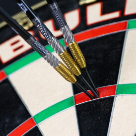 BULLS NL CP Steel Darts Dirk van Duijvenbode Changeable Point 95% Tungsten Steeltip Darts Steeldart 24 g