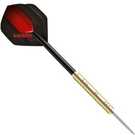 Karella Dartboard Training Set inkl. 2 Satz Steeldarts