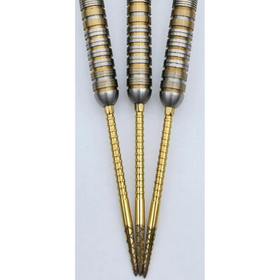 SBC Darts Umbau zu Swiss Point / Switch Point / Quick Point
