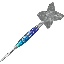 Precise180 Steel Darts Northern Lights mit SUP Fligths Caliburn EVO Point 90% Tungsten Steeltip Dart Steeldart