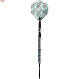 "Leicht bespielt" - BULLS Steel Darts Bull´s powered by Shot Darts Max Hopp 80% Max80 Steeltip Darts Steeldart 24 g