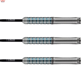 "Leicht bespielt" - BULLS Steel Darts Bull´s powered by Shot Darts Max Hopp 80% Max80 Steeltip Darts Steeldart 24 g