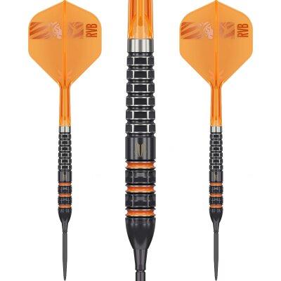 Target Steel Darts SWISS Point Raymond van Barneveld 95K 95% Tungsten Steeltip Dart Steeldart