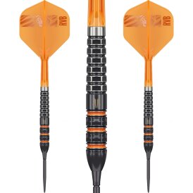 Target Steel Darts SWISS Point Raymond van Barneveld 95K...