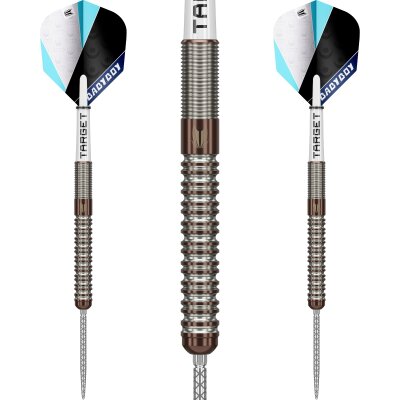 Target Steel Darts SWISS Point Adam Lipscombe 90% Tungsten Steeltip Darts Steeldart 25 g