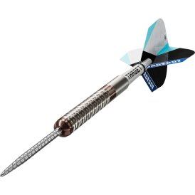 Target Steel Darts SWISS Point Adam Lipscombe 90% Tungsten Steeltip Darts Steeldart 25 g