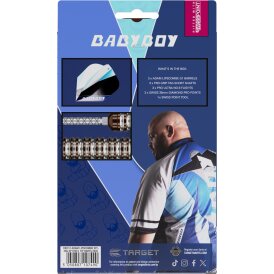 Target Steel Darts SWISS Point Adam Lipscombe 90% Tungsten Steeltip Darts Steeldart 25 g