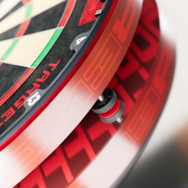 Target Dart Tor EVO Professional Bristle Dart Board Dartboard Turnierboard Dartscheibe