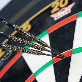BULLS NL CP Steel Darts Advantage Rail Changeable Point 95% Tungsten Steeltip Darts Steeldart