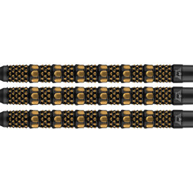 BULLS NL Soft Darts Advantage Rail 95% Tungsten Softtip Darts Softdart 19 g