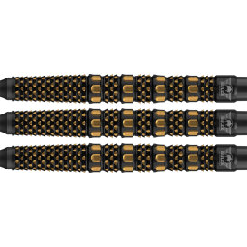 BULLS NL Soft Darts Advantage Slope 95% Tungsten Softtip Darts Softdart 20 g