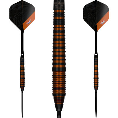 BULLS NL CP Steel Darts Dirk van Duijvenbode Changeable Point 80% Black Tungsten Steeltip Darts Steeldart