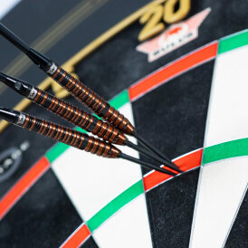 BULLS NL CP Steel Darts Dirk van Duijvenbode Changeable Point 80% Black Tungsten Steeltip Darts Steeldart
