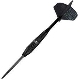 BULLS NL CP Steel Darts Max Hopp Black Changeable Point 80% Tungsten Steeltip Darts Steeldart